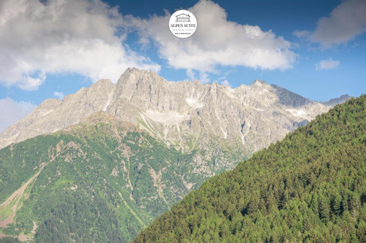 B&B Alpen Suite Ponte Di Legno Zewnętrze zdjęcie